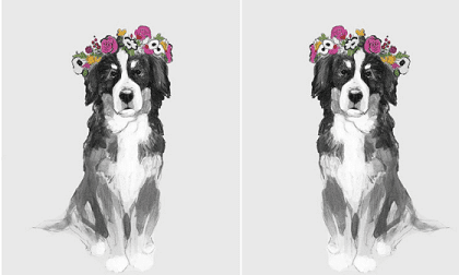 Top những con giáp có đường tình duyên nở rộ, gặp được ý trung nhân, dễ dàng thoát kiếp ế trong thời gian tới