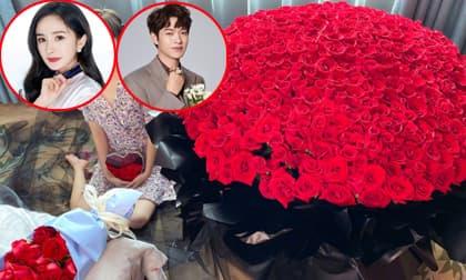 Dương Mịch được tình trẻ tặng 999 đóa hồng nhân ngày 'Tỏ tình', Cnet ngã ngửa khi biết sự thật