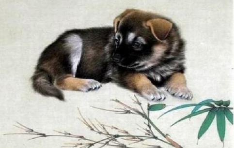 12 con giáp tử vi hàng ngày Chủ nhật 24/5/2020 Sửu cẩn thận thị phi