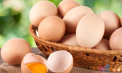 Tại sao trứng bán trong siêu thị không có phân dính? 