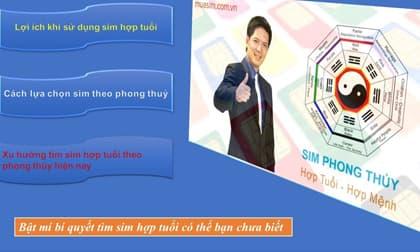 Bật mí bí quyết tìm sim hợp tuổi có thể bạn chưa biết