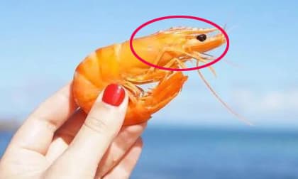 Đầu của con tôm có thể ăn được không? Kết quả xét nghiệm gây sốc! Thế còn đầu gà, đầu vịt, đầu cá?