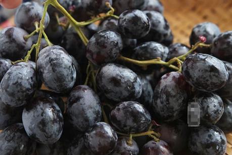 Khi mua nho, hãy chú ý 4 điểm này, đảm bảo nho tươi, ngon ngọt không hóa chất  