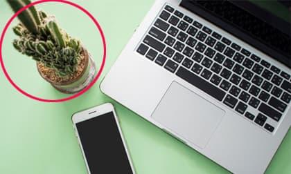 Đặt đồ vật này lên bàn sẽ 'phá phong thủy, sự nghiệp tiêu tan dân văn phòng nên tránh