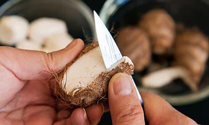 Tại sao tay thường bị ngứa khi chạm vào thực phẩm như khoai mỡ và dứa? Chuyên gia dinh dưỡng hé lộ sự thật