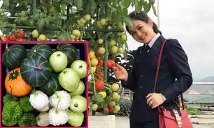 Khu vườn trên sân thượng như 'siêu thị mini rau củ nhập khẩu' của mẹ đảm ở Lào Cai khiến dân tình thích thú