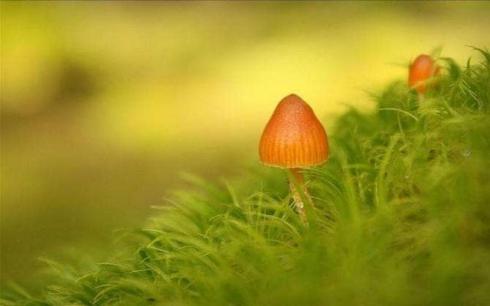 Đàn ông 'trốn tránh' bạn trong những lúc này! Đừng 'tự lừa dối mình nữa'!