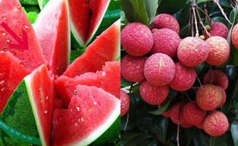 Tại sao dưa hấu và vải thiều lại ngọt hơn khi cho vào tủ lạnh? 