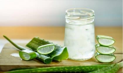 Công thức tự làm nha đam ngâm rượu tại nhà để đẩy lùi lão hóa