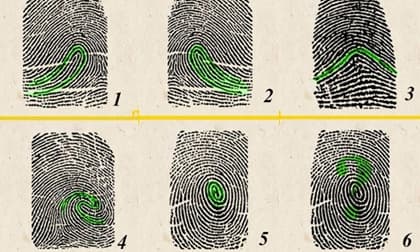 5 giây nhìn ngón trỏ tay phải, biết ngay ai có tướng làm lãnh đạo