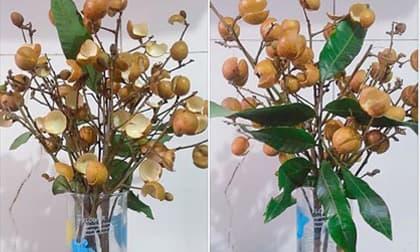 Lọ hoa đẹp độc lạ, giá 0 đồng của gái đoảng nhận về hơn 25 nghìn lượt like