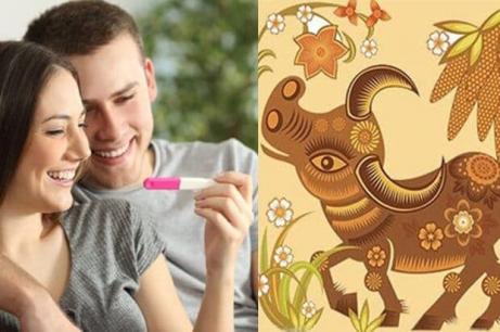 Nếu vợ hoặc chồng thuộc con giáp này, con sinh ra sẽ thông minh vượt trội, giàu có hơn người