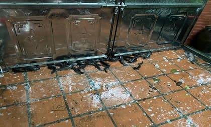 Ngủ dậy sau trận mưa lớn, người dân nhặt mỏi tay cả đàn cá rô lạc trên sân