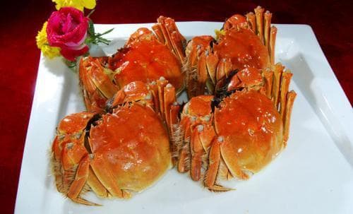 Cách phân biệt cua đực và cua cái? Dinh dưỡng của con cái có tốt hơn con đực không?