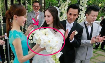 Những điều cấm kỵ khi cầm bó hoa cô dâu và cách xử lý bó hoa để mang lại may mắn