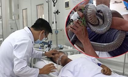 Gia cảnh khốn khó của người 'ôm' rắn hổ mang chúa vào bệnh viện cấp cứu