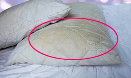 Có nhiều con mạt nếu lâu ngày không giặt gối, chuyên gia vệ sinh dạy bạn một mẹo, không cần giặt