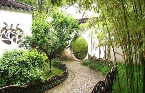 Tại sao người xưa kiêng kị trồng cây trong sân?