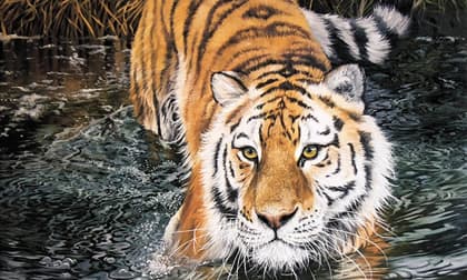 Top con giáp may mắn nhất tháng 9/2020, hốt trọn lộc trời, tiền tài ngập két