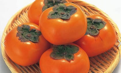 Tại sao người xưa có câu: 'Một quả hồng, mười vị thuốc' nghĩa là gì? Và chú ý điều cấm kị khi ăn hồng! 