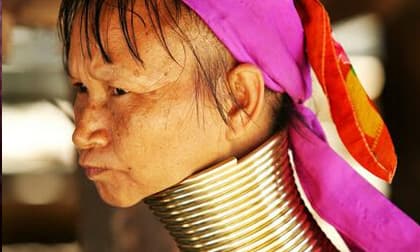 Chiếc cổ dài nhất thế giới thậm chí đã lên tới 40 cm. Ở những khu vực này, độ dài càng cao cổ càng đẹp