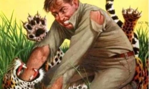 Con người có thể đánh bại hổ, báo? Có 3 người thành công trong lịch sử đã sử dụng cùng một phương pháp 