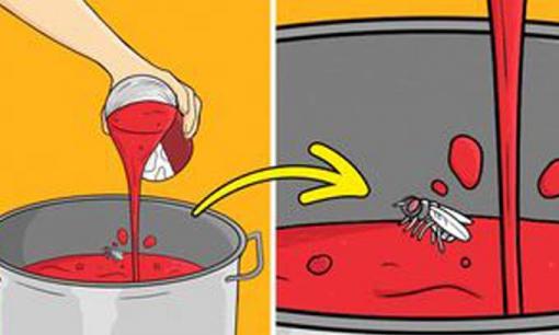 4 lý do bạn cần làm sạch nắp hộp trước khi mở nó