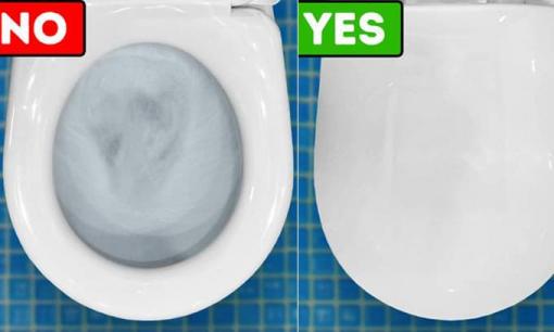 Tại sao chúng ta nên đóng nắp bồn cầu xuống khi xả nước?
