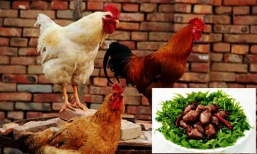 Bác sĩ tiết lộ: Đây là phần trên con gà dễ gây ra các bệnh ung thư nhiều nhất khi ăn