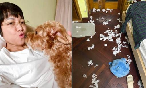 Đi làm về muộn, MC Thảo Vân vẫn trở thành 'con sen hì hụi' dọn phòng khiến chồng cũ cũng phải lên tiếng