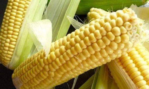 Bạn muốn giảm cân nhưng không thể kiểm soát miệng của mình? Hãy thử 8 loại thực phẩm vừa dinh dưỡng vừa giảm cân này