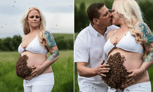 Mẹ bầu gây sốc với việc đặt 10.000 con ong lên bụng để 'tạo nét' khi chụp ảnh 