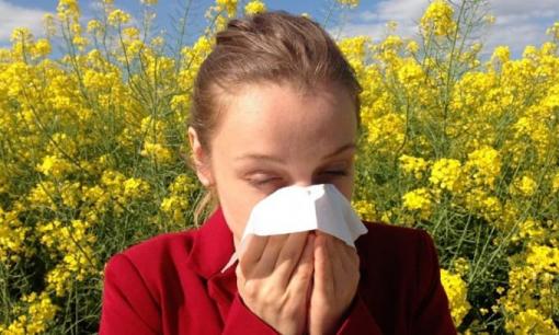 IPhone tương lai có thể sử dụng tia laser để phát hiện chất lượng không khí hoặc phấn hoa độc hại?