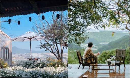 Điểm danh những quán cà phê đẹp nức lòng người, đi du lịch Đà Lạt nhất định phải ghé