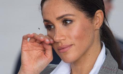 Meghan Markle nhận về mưa gạch đá vì than thở: 'Tôi là người bị tấn công ác ý nhiều nhất trên đời này!'