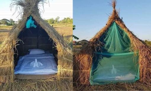 Thiết kế homestay theo kiểu 'một túp lều tranh 2 trái tim vàng' giữa cánh đồng khiến dân mạng tranh cãi 