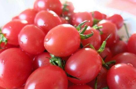 Được mệnh danh là 'trái cây bảo vệ nam giới'! Nhưng hai cách ăn cà chua hoàn toàn có hại cho sức khỏe!