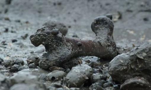 Anh cấm khách du lịch đến 'đảo người chết'