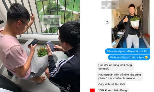 Cách check giờ nhân viên đi muộn bằng hoa mười giờ của một ông sếp ki bo khiến dân mạng thích thú