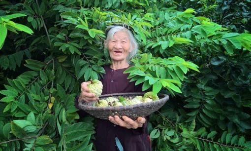 Bài văn miêu tả ‘Vườn nhà bà’ toàn dấu huyền, vừa bình dị lại cực gần gũi thân thương