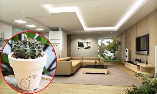 Ngôi nhà xuất hiện dấu hiệu mất lộc này, hóa giải ngay nếu không muốn xui xẻo đeo bám