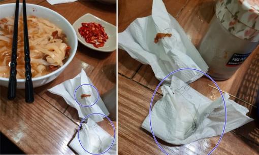 Ăn phở sốt vang ở nhà hàng đông khách tại Hà Nội, cô gái phát hiện cả búi lông lạ trong bát