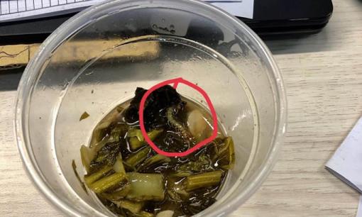 Ăn gần hết suất cơm rang dưa bò, cô gái hốt hoảng nhìn thấy con rết bên trong đồ ăn