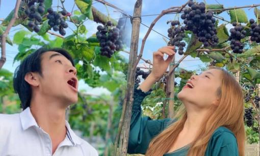 Tận hưởng vườn nho sai trĩu quả 'nhìn là mê' với giá vé vào cửa chỉ 25 ngàn đồng, cách Sài Gòn khoảng 70 - 80km 