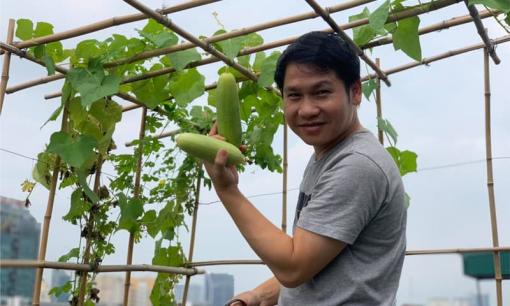 Khu vườn nhỏ xanh mướt, sai trĩu quả trên sân thượng của 'Ông hoàng nhạc đỏ' Trọng Tấn 