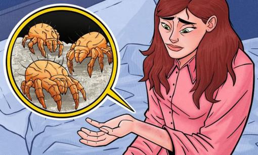 Tại sao chúng ta không nên mặc cùng một bộ đồ ngủ trong 2 ngày liên tiếp?