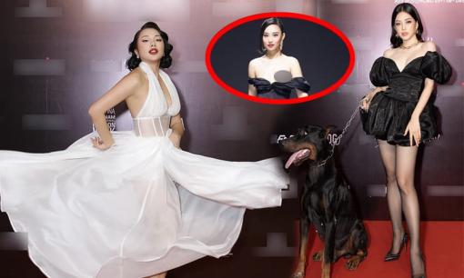 Á hậu Phương Nga dắt chó triệu đô đi dự sự kiện thời trang vẫn không bằng cô người mẫu 'tự tin'... lộ hàng