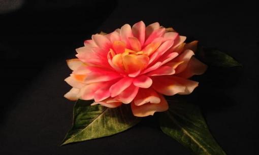 Đầu bếp 9X 'biến' trái đu đủ thành tác phẩm nghệ thuật đẹp như tranh siêu thực