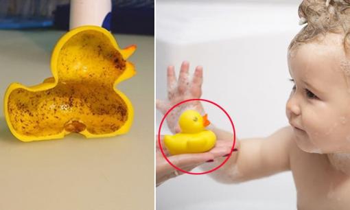 Vịt cao su, đồ chơi được nhiều mẹ mua cho con có thể gây nguy hiểm khôn lường
