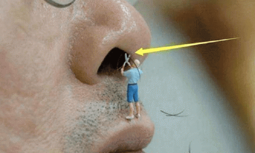 Lông mũi đột nhiên chuyển từ đen sang trắng là sao? Nếu 3 sợi lông này trên cơ thể bất thường, cần chú ý ngay